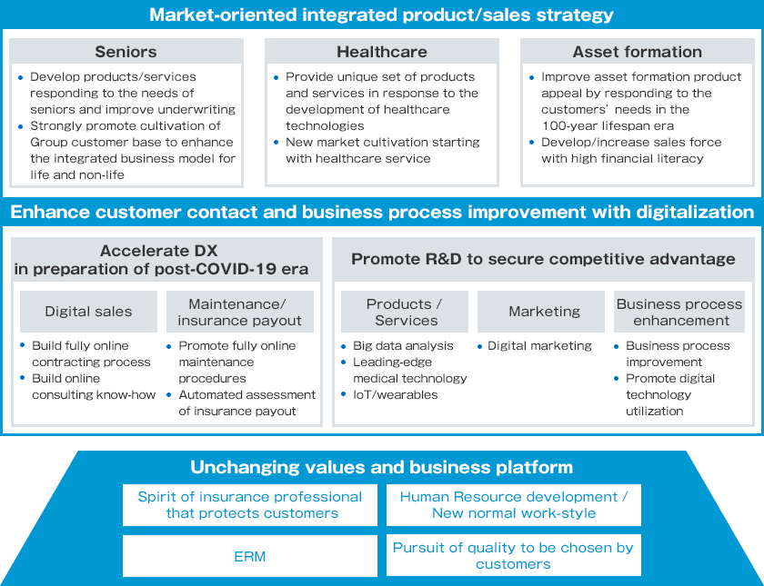 Domestic business plan picture