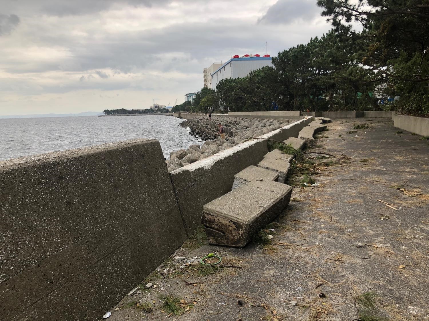 Photo 1 Seawall along the coast of Kanazawa Ward, Yokohama, destroyed by the storm surge from the 2019 Boso Peninsula Typhoon (from Miyamoto et al. 2022)