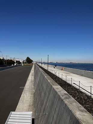Photo 2 The same area as in Photo 1 (as of January 2025, photo by the author)